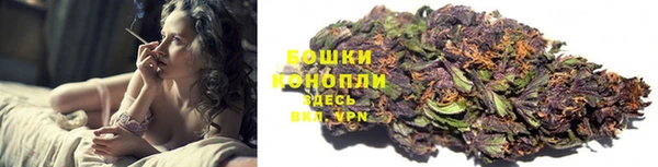 apvp Осташков