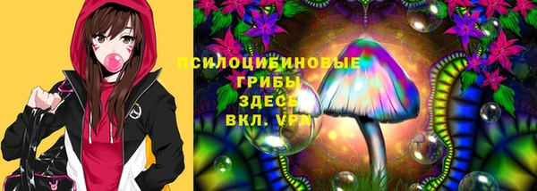 не бодяженный Пересвет