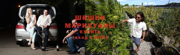 мяу мяу мука Остров