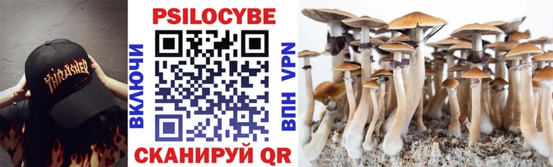 mega как войти  Льгов  Псилоцибиновые грибы Magic Shrooms  где купить наркоту 